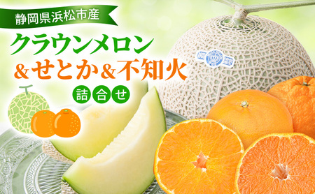 y2026N2zNE&Ƃ&sm΋l NE 1 1.3kg  Ƃ 4 sm 4 ʂ fR  k ~J   É ls