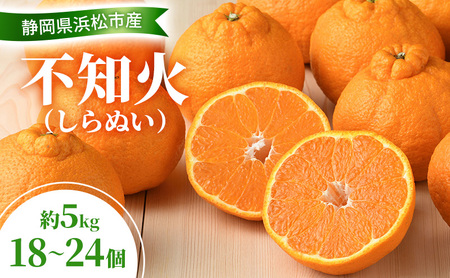 【2027年3月以降発送】 不知火 約5kg 18～24個  しらぬい デコ かんきつ 柑橘 みかん ミカン 蜜柑 フルーツ 静岡 浜松市