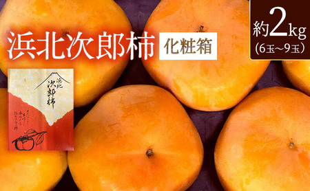 静岡県浜松市産 次郎柿 約2kg 6玉〜9玉 柿 甘柿 フルーツ 果物 化粧箱入 静岡 浜松市[配送不可:離島]