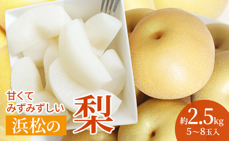 浜松市産 梨 約2.5kg 5〜8玉入り なし フルーツ 果物 静岡 浜松市[配送不可:離島]