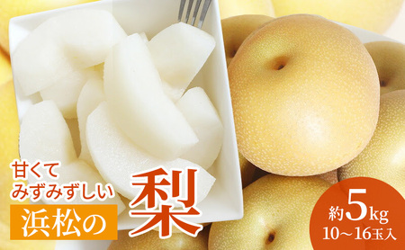 �l���s�Y �� ��5kg 10?16�ʓ��� �Ȃ� �t���[�c �ʕ� �É� �l���s�y�z���s�F�����z