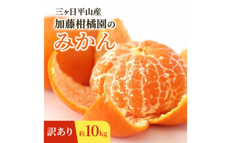 �y�󂠂�z�O�������R�Y �������k���݂̂��� ��10kg �݂��� �~�J�� ���� ���݂��� �t���[�c �É� �l���s