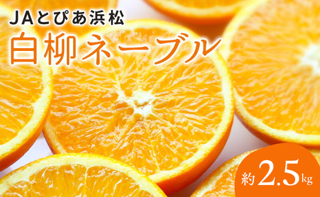 JA�Ƃ҂��l�� �����l�[�u�� ��2.5kg ���1�������400g×6�`9�� �y�z���s�F�����z �l�[�u�� �l�� �݂��� �~�J�� ���� ���Ε� �M�t�g �É� �l���s