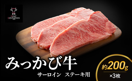 みっかび牛サーロインステーキ用(約200g×3枚)国産 静岡県産 ステーキ サーロイン 三ヶ日牛 牛肉 お肉 静岡 浜松市