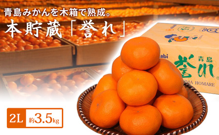 青島三ヶ日みかん 本貯蔵 「誉れ」 2L 約3.5kg (約20個) みかん ミカン フルーツ 果物 静岡 浜松市