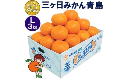 三ケ日みかん 青島[秀品]Lサイズ3kg(23個前後) ミカン 果物 くだもの フルーツ 甘い 静岡県 浜松市 果物類 柑橘類 ※配送不可:北海道・沖縄県・離島