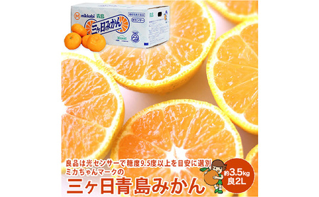 ミカちゃんマークの三ヶ日青島みかん 良2L 約3.5kg(目安:約20個) みかん ミカン 果物 フルーツ 静岡 浜松市