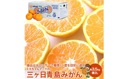 ミカちゃんマークの三ヶ日青島みかん 優2L 約3.5kg(目安:約20個) みかん ミカン 果物 フルーツ 静岡 浜松市
