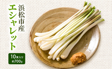 静岡県浜松市産エシャレット 10束入り 約700g 箱入り エシャレット 国産 野菜 静岡 浜松市 [配送不可:北海道・沖縄・離島]