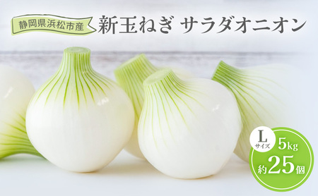 静岡県浜松市産 新玉ねぎ サラダオニオン Lサイズ 5kg 約25個 野菜 新玉ねぎ たまねぎ タマネギ サラダ オニオン 国産 浜松市 静岡 [配送不可:離島]