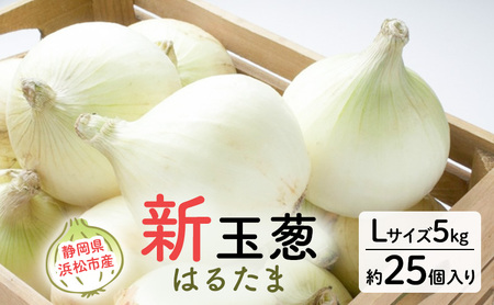 静岡県浜松市産 新玉葱 はるたま Lサイズ 5kg 約25個 野菜 新玉ねぎ たまねぎ タマネギ サラダ オニオン 国産 浜松市 静岡 [配送不可:離島]