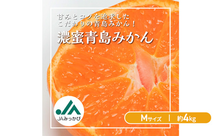 JAみっかび 濃蜜青島みかん M 約4kg 青島 三ヶ日みかん みかん ミカン 蜜柑 ギフト 甘い 糖度 静岡 浜松市