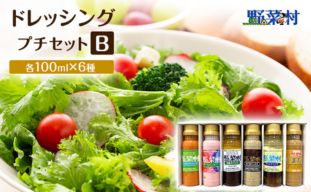 野菜村ドレッシング プチセット B(コールスローマイルド、紅ほっぺいちご×ブルーベリー、和風スパイス、Wごまミックス、深みのあるお塩、ごまだれ)各100ml 各1本 計6本 ドレッシング 調味料 静岡 浜松市