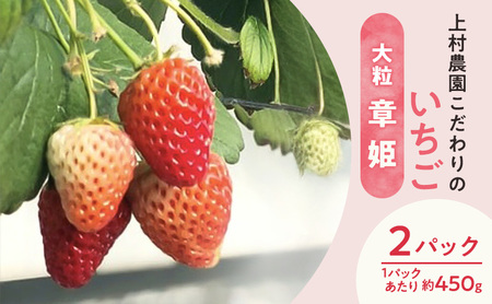 上村農園 こだわりのいちご 大粒章姫 2パック (1パックあたり約450g) イチゴ あまい おいしい 静岡 浜松市[配送不可:沖縄・離島]