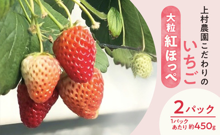 上村農園 こだわりのいちご 大粒紅ほっぺ 2パック (1パックあたり約450g) イチゴ あまい おいしい 静岡 浜松市[配送不可:沖縄・離島]