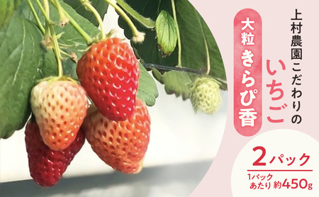 上村農園 こだわりのいちご 大粒きらぴ香 2パック (1パックあたり約450g) イチゴ あまい おいしい 静岡 浜松市[配送不可:沖縄・離島]
