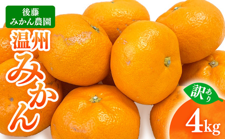 [ 訳あり ] 後藤みかん農園 温州みかん 4kg 宮川 片山 果物 くだもの 旬のフルーツ 旬の果物 季節のフルーツ 季節の果物 柑橘 柑橘類 キズ 不揃い ご家庭用 静岡 浜松市
