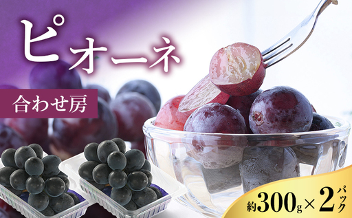 [2026年8月より順次発送] ピオーネ 約300g×2パック(計約600g)合わせ房 若手農家応援 ぶどう ブドウ 果物 くだもの 旬のフルーツ 旬の果物 季節のフルーツ 季節の果物 静岡 浜松市