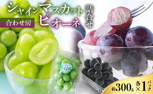 [2026年8月より順次発送] シャインマスカット・ピオーネ詰合せ 約300g×各1パック(計約600g)合わせ房 若手農家応援 ぶどう ブドウ マスカット 果物 くだもの 旬の果物 季節のフルーツ 静岡 浜松市