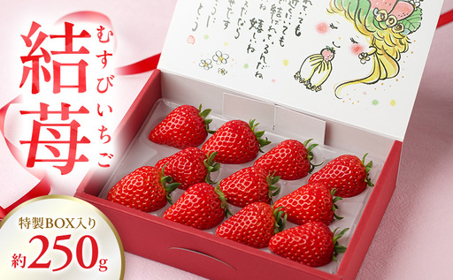 結苺(むすびいちご)約250g(6〜11粒) 特製BOX入り いちご イチゴ 苺 ストロベリー 果物 くだもの フルーツ ギフト プレゼント 贈り物 静岡 浜松市[配送不可:北海道・沖縄・離島]