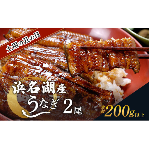 土用の丑の日ギフト 浜名湖産うなぎ 蒲焼 2尾 (100g以上×2本)山椒たれ付き 国産 うなぎセット 国産うなぎ 浜名湖うなぎ 海老仙 静岡 浜松市