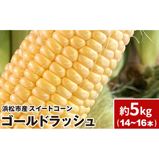 浜松産 スイートコーン ゴールドラッシュ 約5kg 14本〜16本入り 1本300g以上 黄色粒 モノカラー種 とうもろこし 静岡 浜松市[配送不可:北海道、沖縄、離島]