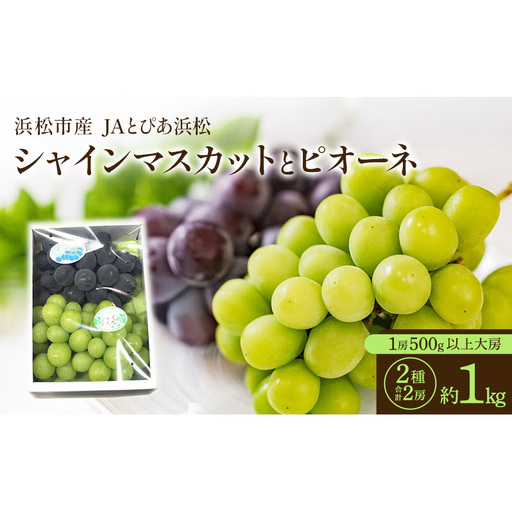 [浜松市産 JAとぴあ浜松]シャインマスカットとピオーネ 1房500g以上大房×2種 合計2房(約1kg) シャインマスカット ピオーネ ぶどう 葡萄 フルーツ プレゼント お中元 クール 静岡 浜松市[配送不可:離島]