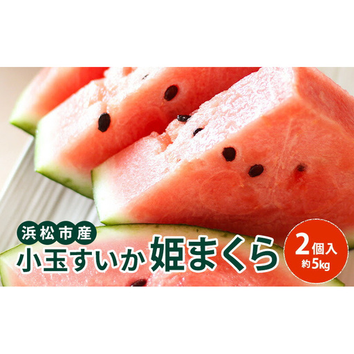 【浜松市産】小玉すいか 姫まくら 2個入 約5kg すいか スイカ 西瓜 果物 くだもの フルーツ プレゼント お中元 糖度 静岡 浜松市【配送不可：離島】 