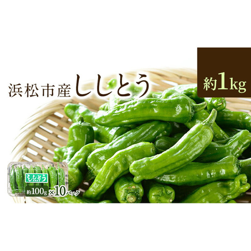浜松市産 ししとう 約100g×10パック 合計約1kg とうがらし 獅子唐 シシトウ 国産 野菜 静岡 浜松市