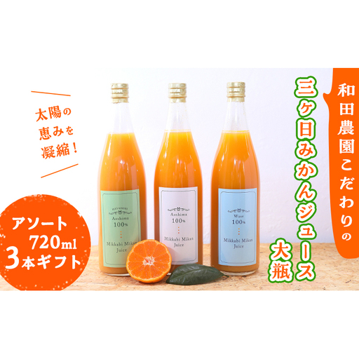 太陽の恵みを濃縮！【和田農園こだわりの三ヶ日みかんジュース大瓶720mlアソート3本ギフト】 ボックス入り 飲料 ストレート ジュース フルーツ みかん　ミカン 三ヶ日みかん 果汁100％ 静岡 浜松市