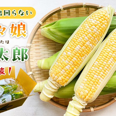 [6月下旬頃より順次発送]とうもろこし 先行予約 甘々娘 または 甘太郎 3本 テルもろこし 個包装 レンジ調理 レンチン 野菜 夏 旬 冷蔵 冷蔵配送 静岡 浜松市[配送不可:離島]