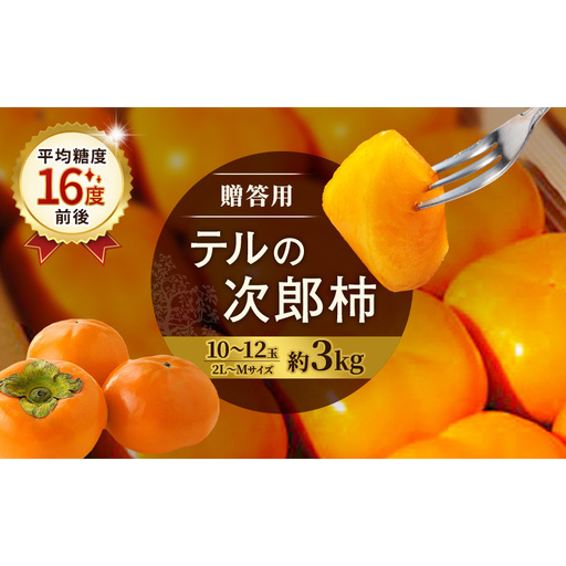 [2026年11月上旬〜順次発送]テルの次郎柿 10〜12玉 約3kg(2L〜Mサイズ)贈答用 柿 旬 かき 果物 くだもの フルーツ 旬の果物 旬のフルーツ 秋の味覚 静岡 浜松市[配送不可:離島]