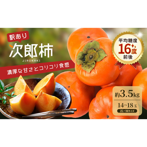 [2026年11月上旬〜順次発送]訳あり テルの次郎柿 14〜18玉 約3.5kg(2L〜Mサイズ)柿 旬 家庭用 かき 果物 くだもの フルーツ 旬の果物 旬のフルーツ 秋の味覚 静岡 浜松市[配送不可:離島]