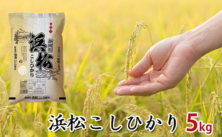 [令和7年度産]静岡県浜松市産米 『浜松こしひかり』精米5kg お米 コシヒカリ