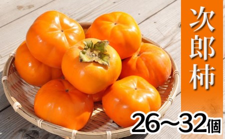 y2025N11{菇zyH̖oz̊` Y`Iؐ芮n̈i26`32i7kgj ʕ t[c  ~̖o Yn ÉY lsY
