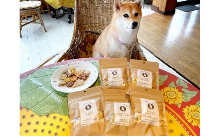 犬 ケージ 検索結果 ふるさと納税サイト ふるなび