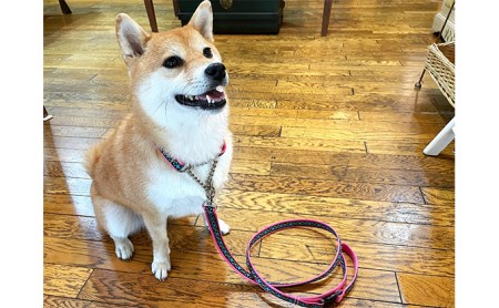 【中型犬用・Mサイズ】ハーフチョークカラーとリードのセット（ブルーフラワー） 雑貨 日用品 ペット用品 