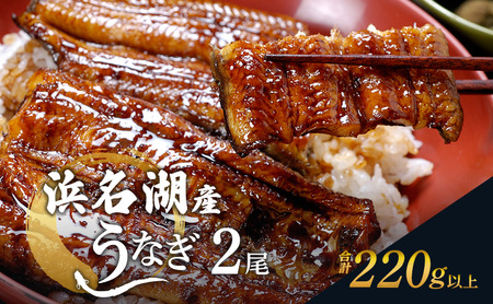 国産うなぎ 浜名湖産鰻蒲焼き2本セット(110g×2) 山椒 たれ セット 詰め合わせ 海老仙 国産 うなぎ ウナギ 鰻 うなぎの蒲焼 土用の丑の日 静岡 浜松