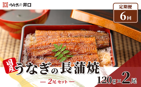 定期便6回【ITI優秀味覚賞受賞】「うなぎの井口」長蒲焼2尾セット【配送不可：離島】