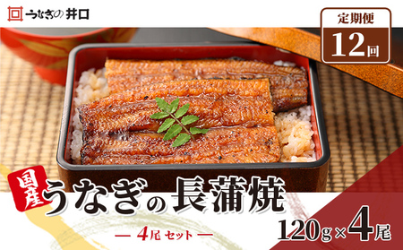 うなぎ 定期便 12回 国産 鰻 うなぎの井口 長蒲焼 4尾 セット 詰め合わせ ITI優秀味覚賞受賞 土用の丑の日 丑の日 ギフト 蒲焼 静岡 惣菜 ウナギ 魚 魚介類 魚介 冷蔵配送 スタミナ 山椒付き 配送不可:離島