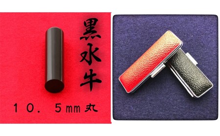 黒水牛10.5mm(5書体)牛革ケース(赤) こいんたい