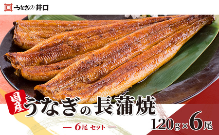 うなぎ ITI優秀味覚賞受賞 うなぎの井口 長蒲焼 6尾 セット 国産 【配送不可：離島】