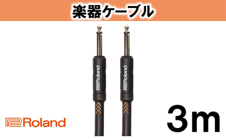 【Roland純正】楽器ケーブル 3m/RIC-B10【配送不可：離島】