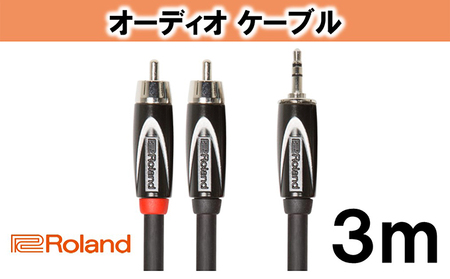 【Roland純正】オーディオケーブル 3m/RCC-10-352RV2【配送不可：離島】