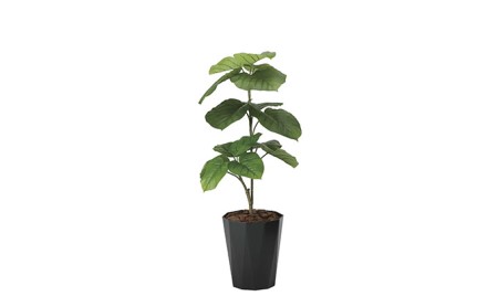 光の楽園　ウンベラータ1.0【配送不可：北海道・沖縄・離島】 インテリア 光触媒 人工植物 造花 フェイクグリーン 花 フラワー 清浄 消臭 