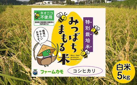 [2025年10月上旬より順次発送]雄踏ファームカモ産「特選みつばちまもる米」白米5kg コシヒカリ お米 コメ ご飯 ライス 特別栽培米 検査米 1等米 甘い おすすめ おにぎり おむすび 静岡 浜松