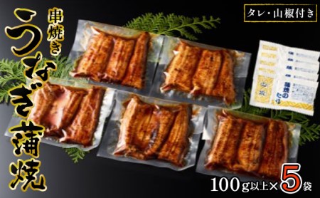 〈丸半堀江商店〉浜名湖産 串焼きうなぎ蒲焼 5袋（100g以上×5袋・タレ・山椒付き）【配送不可：離島】 国産 真空パック つまみ 晩酌 お酒のあて 肴 鰻の串焼き 鰻の蒲焼 