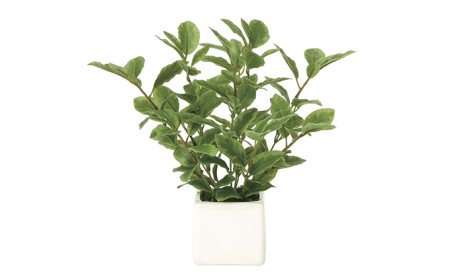 光の楽園　ミニリーフ【配送不可：北海道・沖縄・離島】 雑貨 日用品 植物 造花