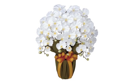 光の楽園　エレガント胡蝶蘭W【配送不可：北海道・沖縄・離島】 雑貨 日用品 植物 造花