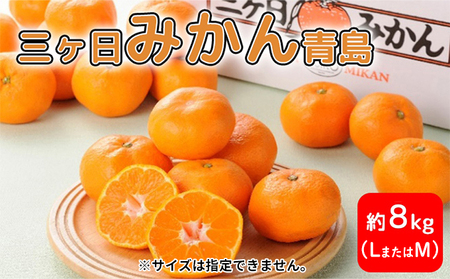 三ヶ日みかん 青島 8kg M又はL  1月中旬より順次発送 みかん ミカン 蜜柑 青島みかん 三ヶ日 果物 くだもの フルーツ 旬の果物 旬のフルーツ 柑橘 柑橘類 糖度 静岡 静岡県 浜松市